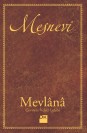 Mesnevi - Tek Cilt - HC