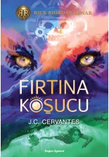Fırtına Koşucu